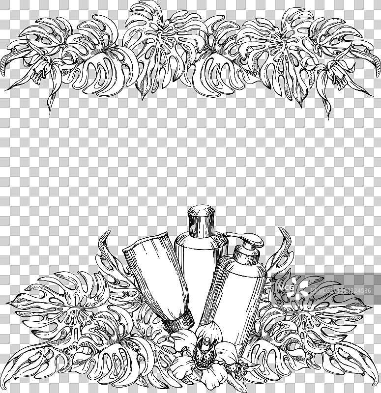 手绘墨水风格的水疗护肤浴室美容产品图片素材