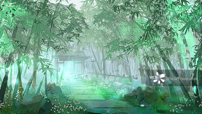 夏天的竹林图片素材