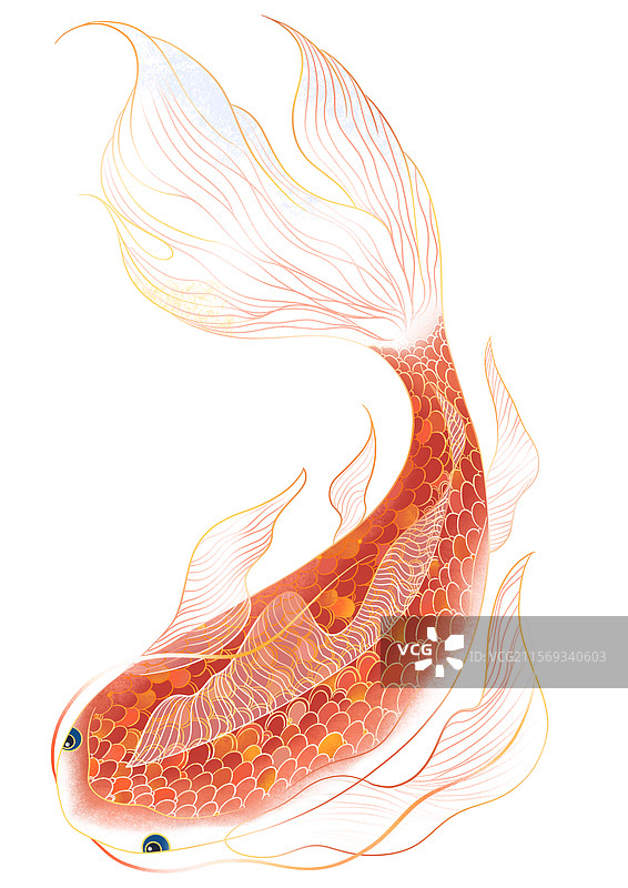 中国风锦鲤鱼类手绘插画图片素材
