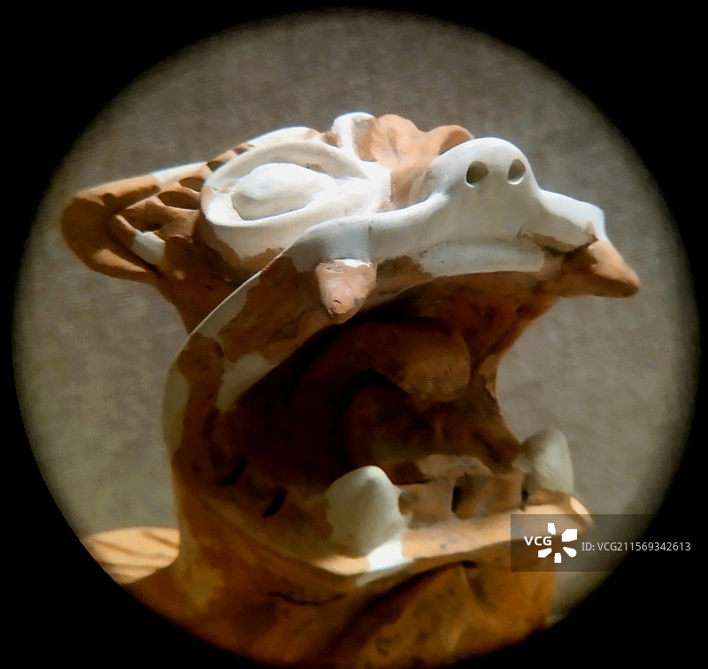 陶蹲兽（南汉）、文物、“南越王博物院（王宫展区）图片素材