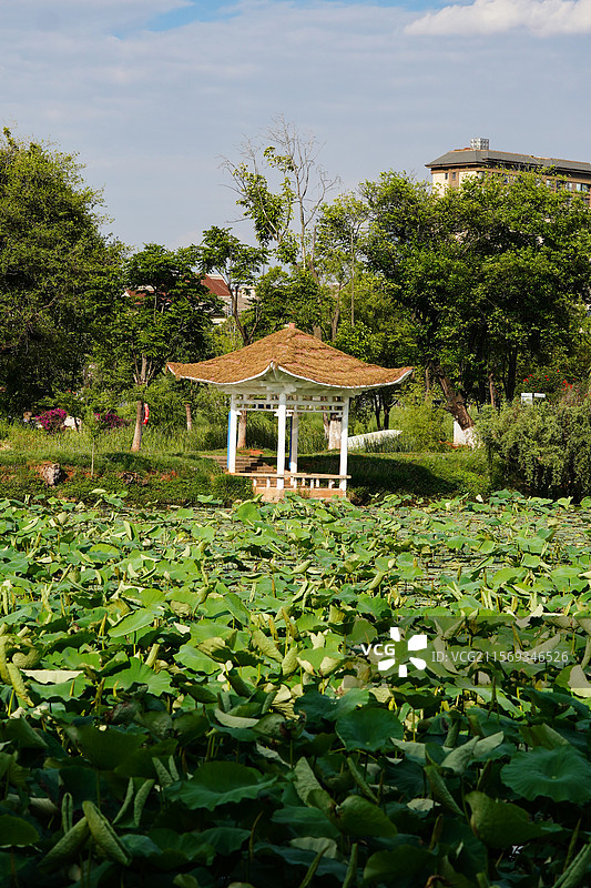 昆明大观公园风景，凉亭和长廊图片素材