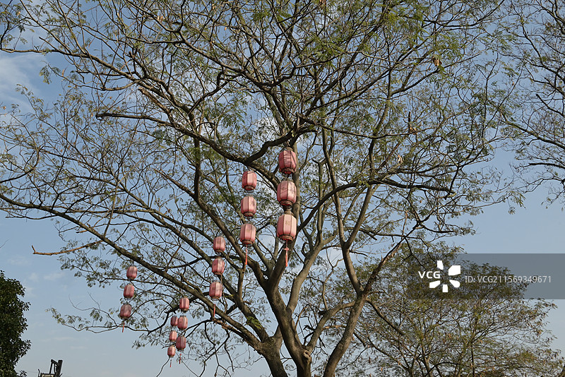 枫泾古镇图片素材