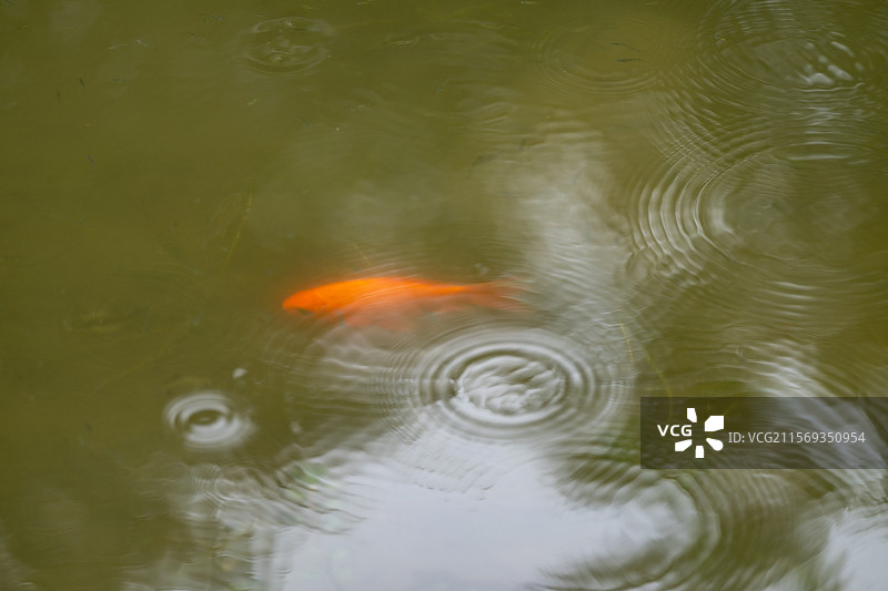 湖水涟漪的高角度全景图片素材