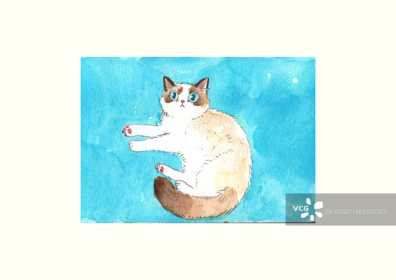 水彩布偶猫图片素材