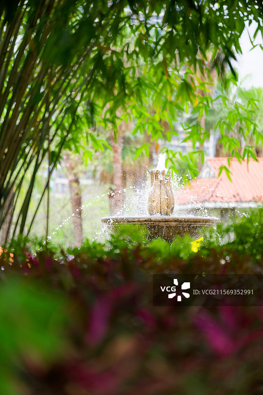 福建厦门园博苑竹林中的喷泉图片素材