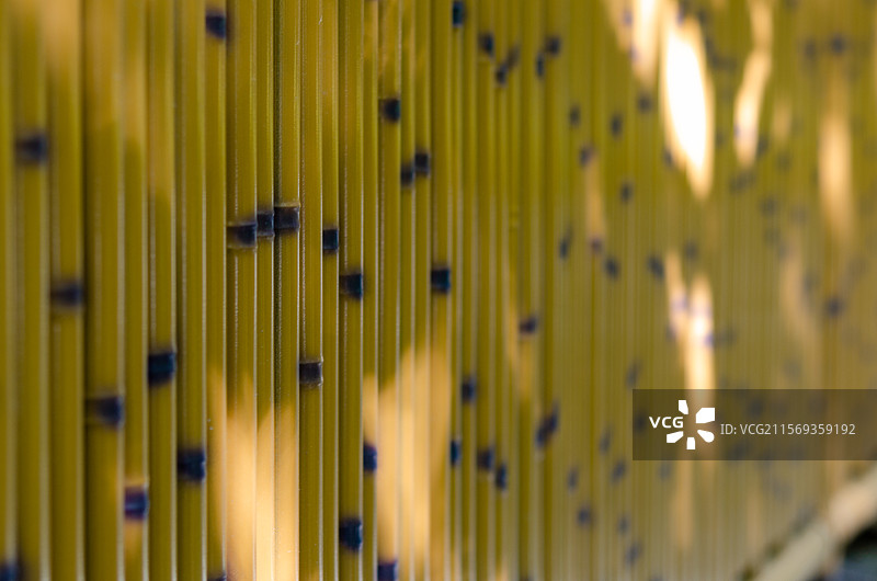 福建省福州西湖公园的竹篱笆图片素材