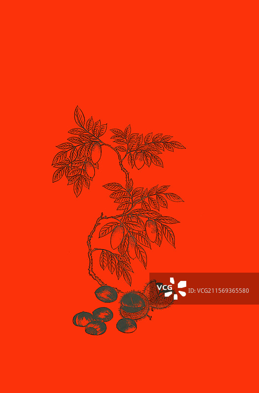 设计素材，中国传统吉祥图案，早生贵子纹图片素材