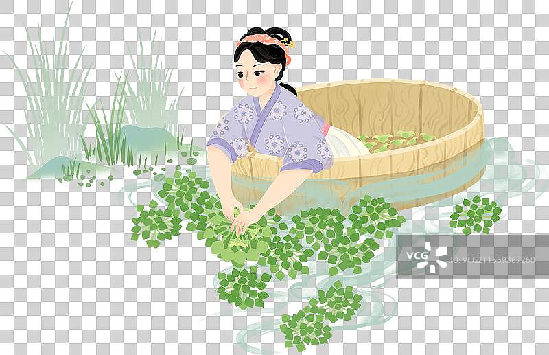 立秋汉服妇女木盆采菱角水草水国风插画图片素材