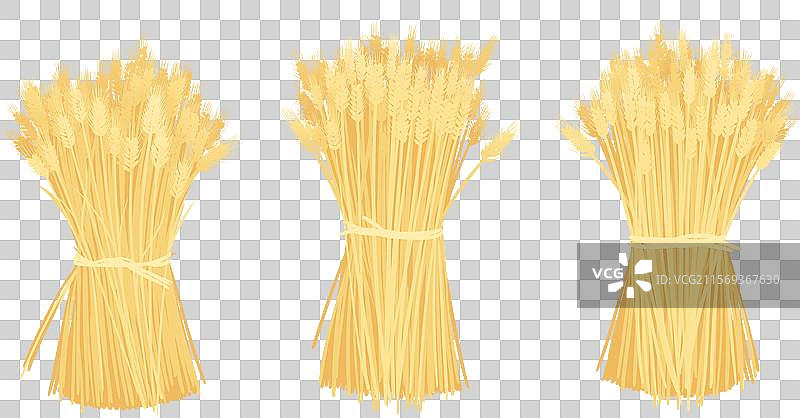 三个金黄色麦垛麦穗丰收插画图片素材