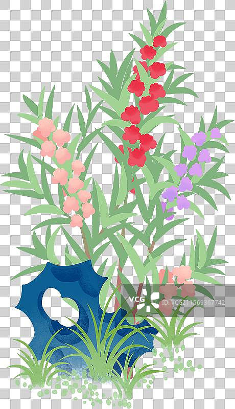 小草凤仙花指甲花国风插画图片素材