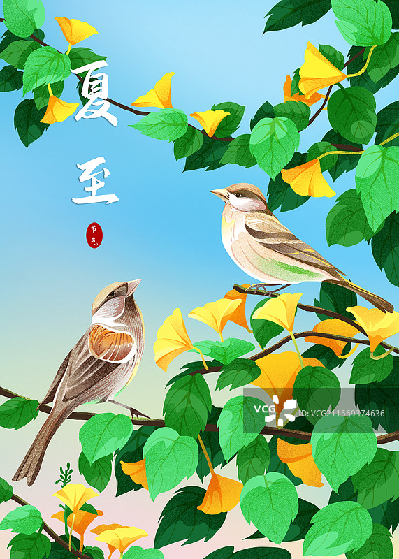 二十四节气-夏至-鸟-银杏花-模版竖向图片素材
