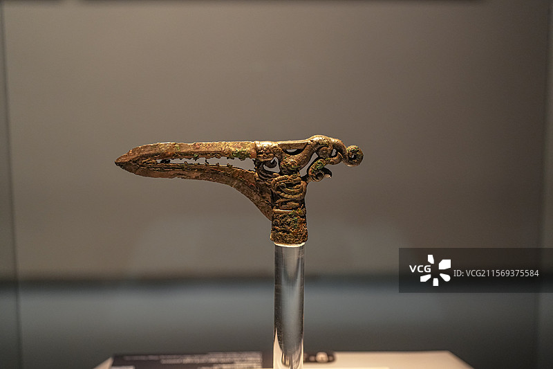 春秋 虎鹰互搏銎内戈 太原金胜村赵卿墓出土 山西博物院图片素材