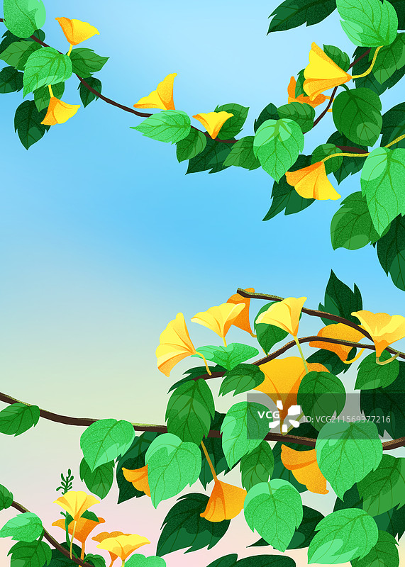 自然-植物-银杏树-绿色-手绘插画背景图片素材