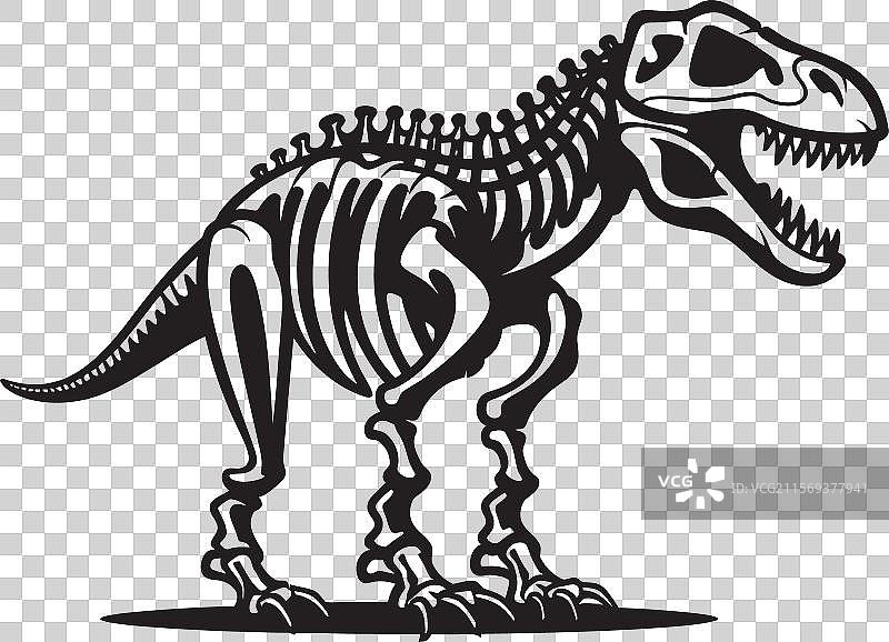 霸王龙致敬标志 恐龙王朝 标志性T恤图片素材