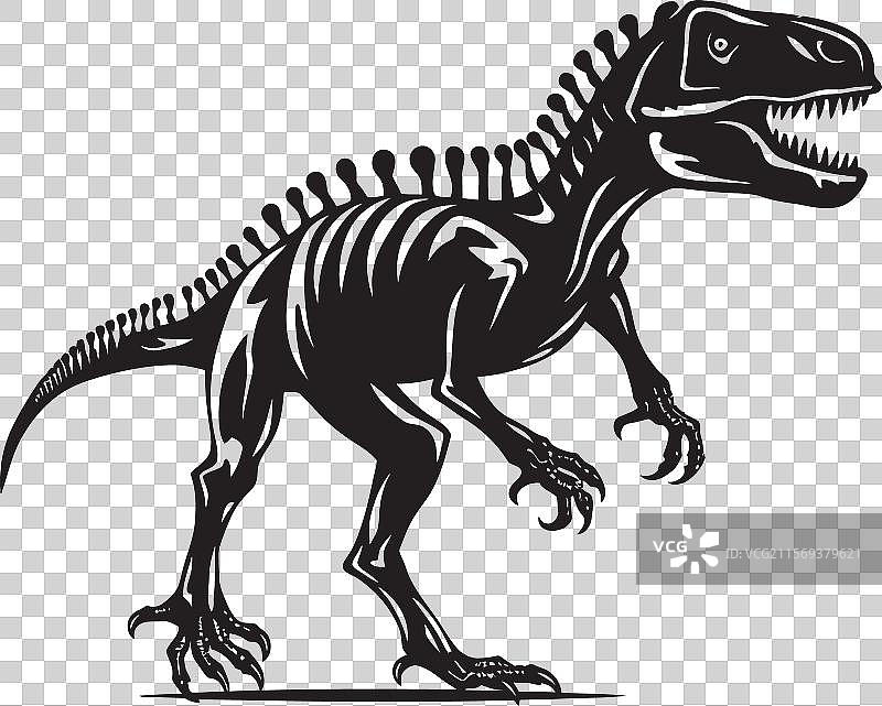 恐龙学的壮丽图形：霸王龙骨架图片素材