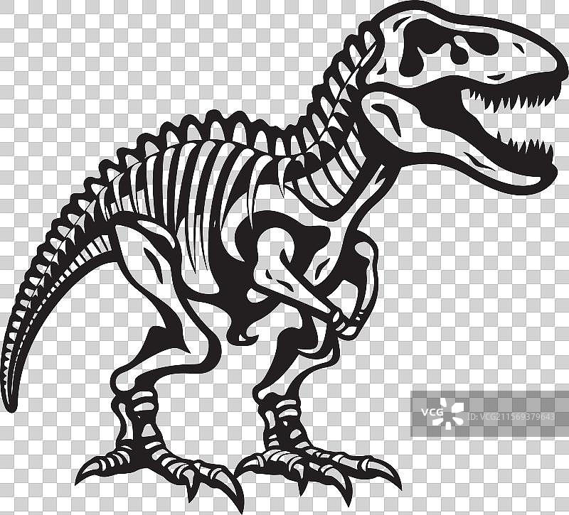 恐龙统治：霸王龙骨架的标志性设计图片素材