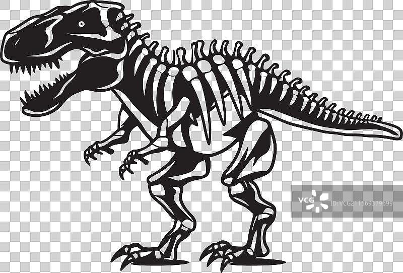 化石化的暴龙骨架标志设计图片素材