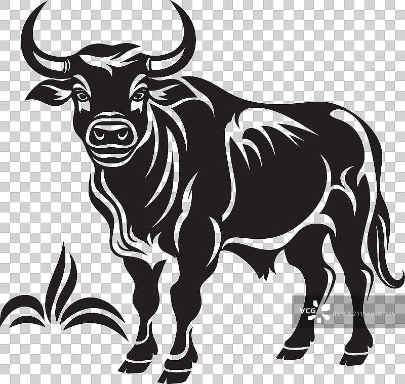 塔希提风格的部落暴风牛标志图片素材