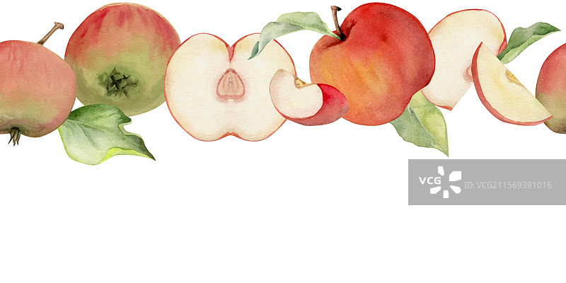 手绘水彩苹果水果成熟饱满图片素材