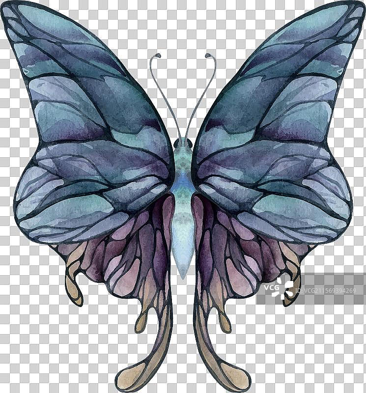手绘水彩蝴蝶仙女翅膀宝石图片素材