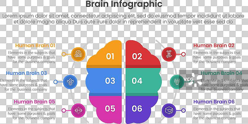 人脑信息图模板横幅与图片素材