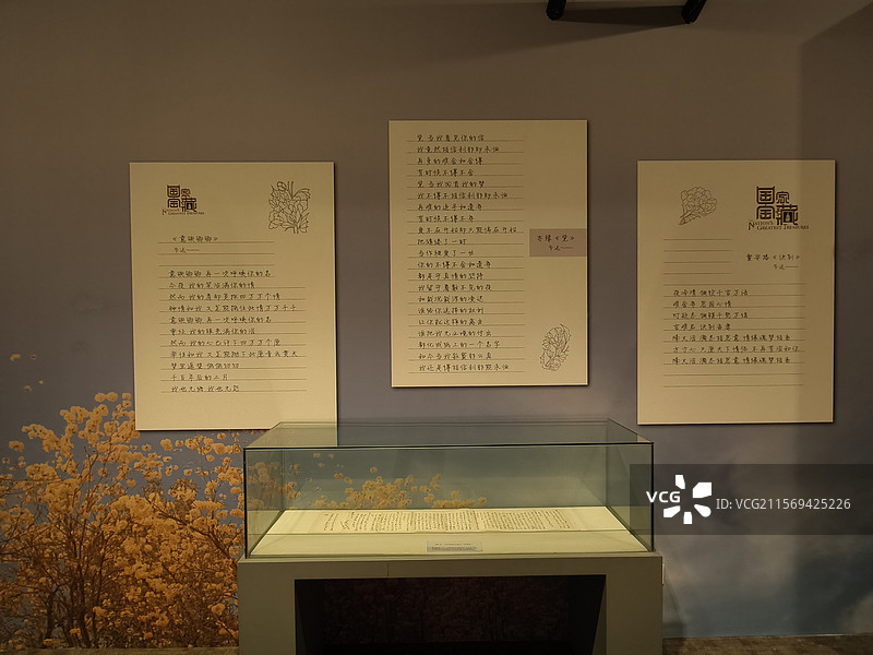 厦门市博物馆《国家宝藏》特展图片素材