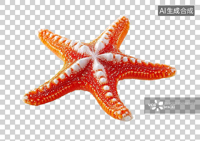【AI数字艺术】【免抠png素材】海产品一只3D小海星图片素材