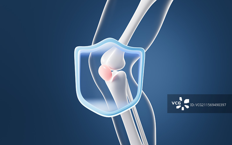 人类腿骨膝盖骨模型3D渲染图片素材