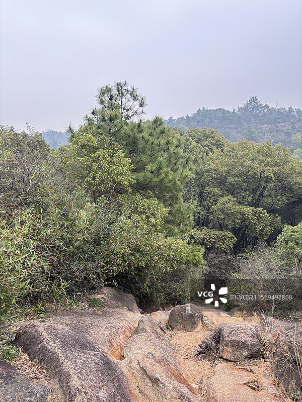 苏州 灵岩山景区 鱼骨线 户外 徒步图片素材