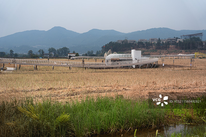 四川德阳中江挂面村风光图片素材