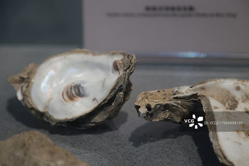 古代中国东方人类陶瓷石器玉石文物图片素材