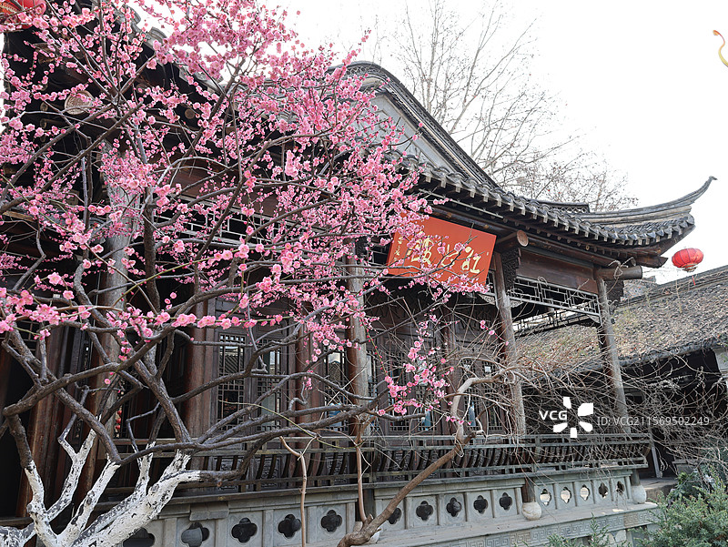 老东门，梅花，蜜蜂，城墙，老街，德云社，南京图片素材