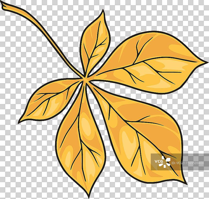 栗子花瓣详细徽章黄色图片素材