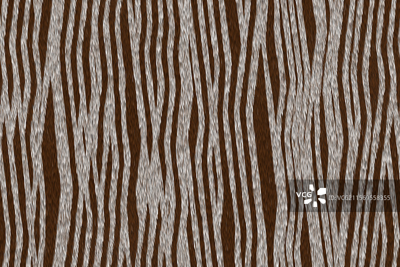 纹理，斑马皮毛图片素材