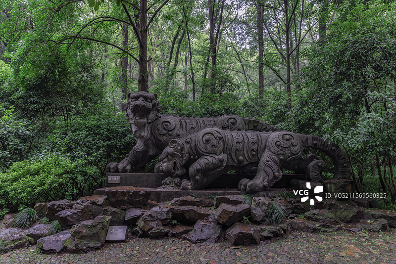 杭州初夏雨后的虎跑公园图片素材
