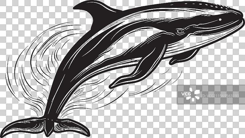 天体鲸类标志性鲸鱼图形海洋图片素材
