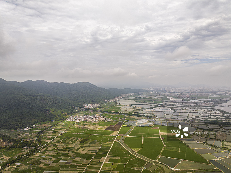 航拍福建省漳州市漳江口红树林国家级自然保护区风光图片素材