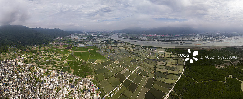 航拍福建省漳州市漳江口红树林国家级自然保护区风光图片素材