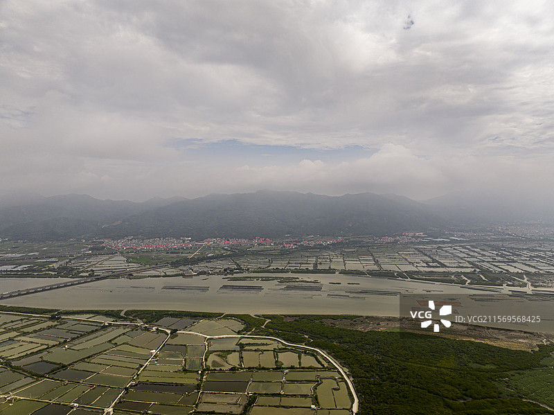 航拍福建省漳州市漳江口红树林国家级自然保护区风光图片素材