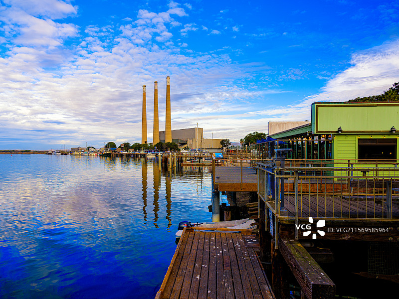 加州莫罗贝海湾渔人码头野生动物海獭种群图片素材