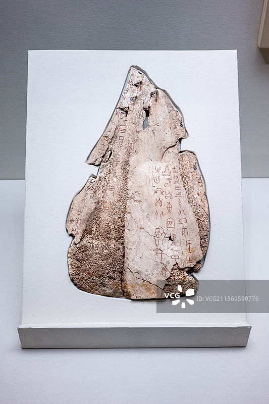 “有出虹自北饮于河”刻辞卜骨 甲骨文 商王武丁时期图片素材