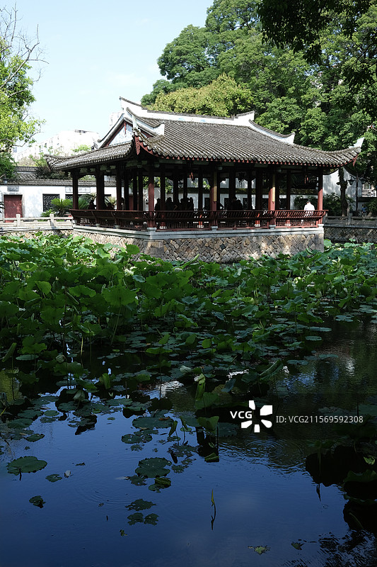 福州西湖公园荷塘上的“荷亭”，即“荷亭晚唱”，为福州西湖八景之一。图片素材