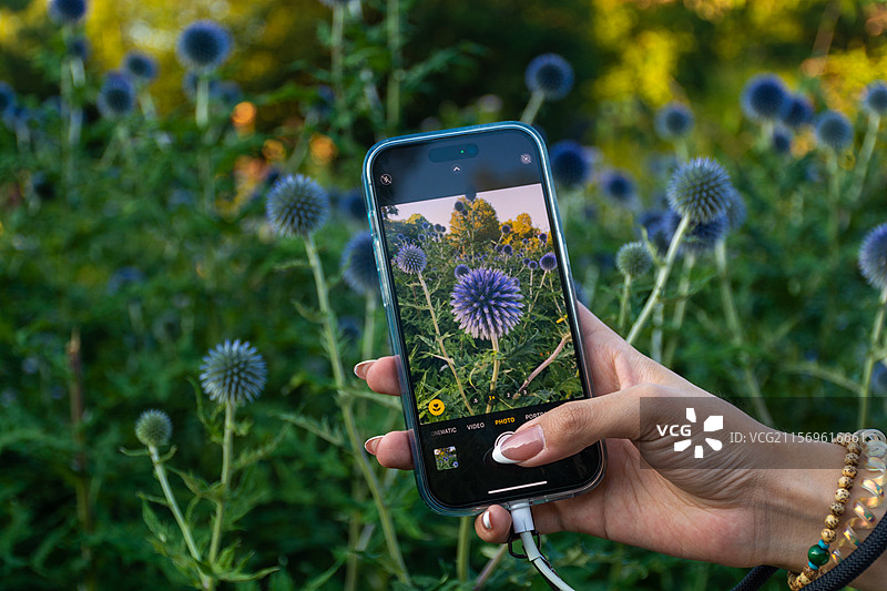 iphone14 pro 手机摄影图图片素材