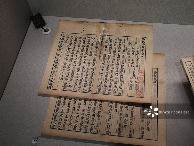 中华门，南京，朱元璋手书墨宝，古建筑，玉兰花树图片素材