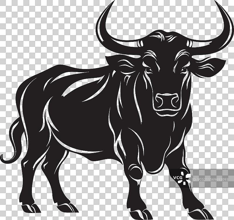 强壮的卡通公牛标志，勇猛的公牛冲锋图片素材