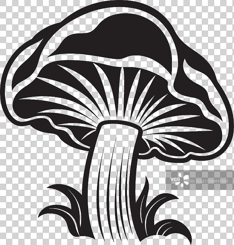 胶囊瀑布中的孢子交响乐蘑菇图标图片素材