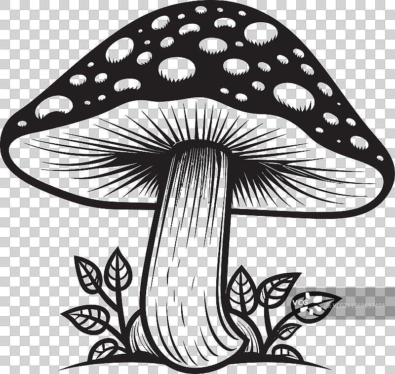 菌丝旋律蘑菇符号在孢子螺旋中图片素材