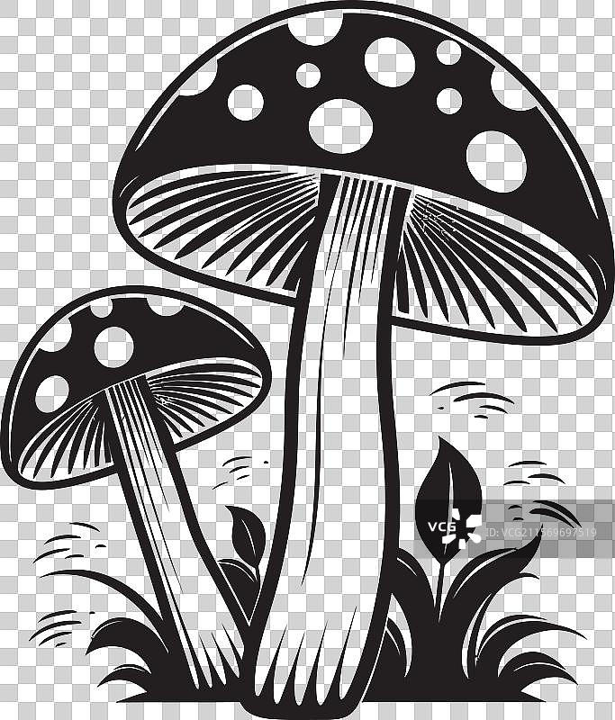 森林幻想蘑菇标志魔法食品图片素材