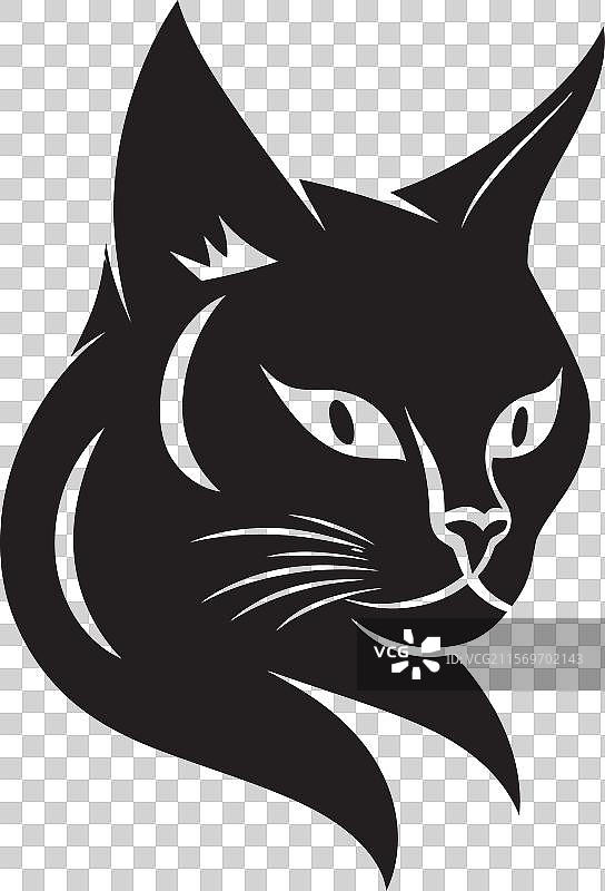 神秘的猫在轮廓中展现出的优雅图片素材