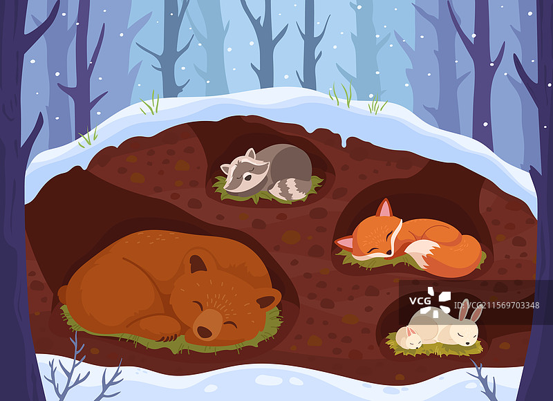 动物在洞穴中睡觉图片素材